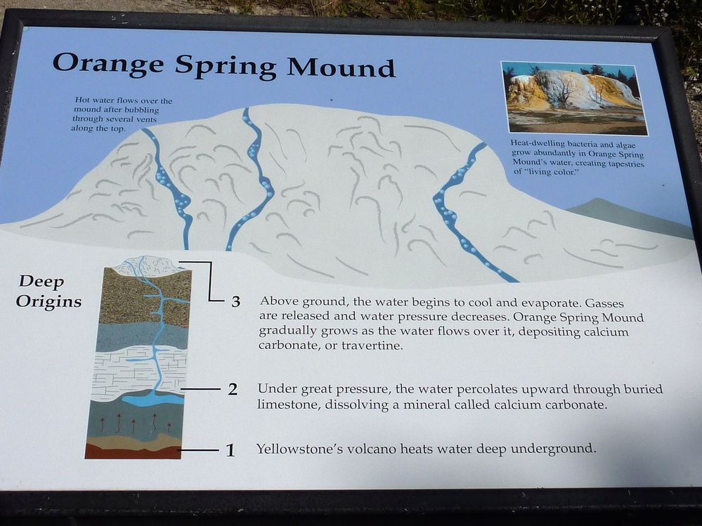 Yellowstone Mammoth Hotsprings (81).JPG